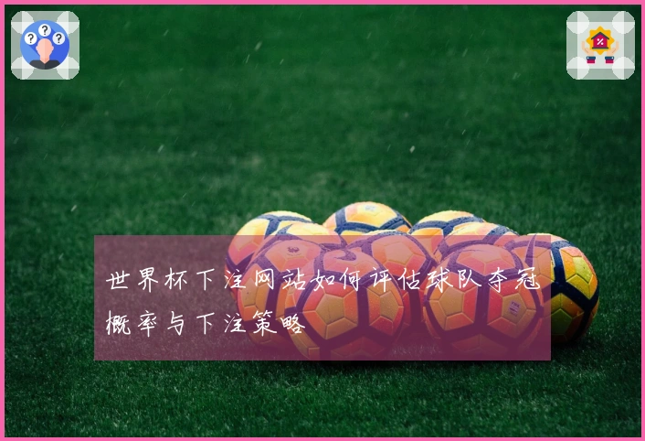 世界杯下注网站如何评估球队夺冠概率与下注策略