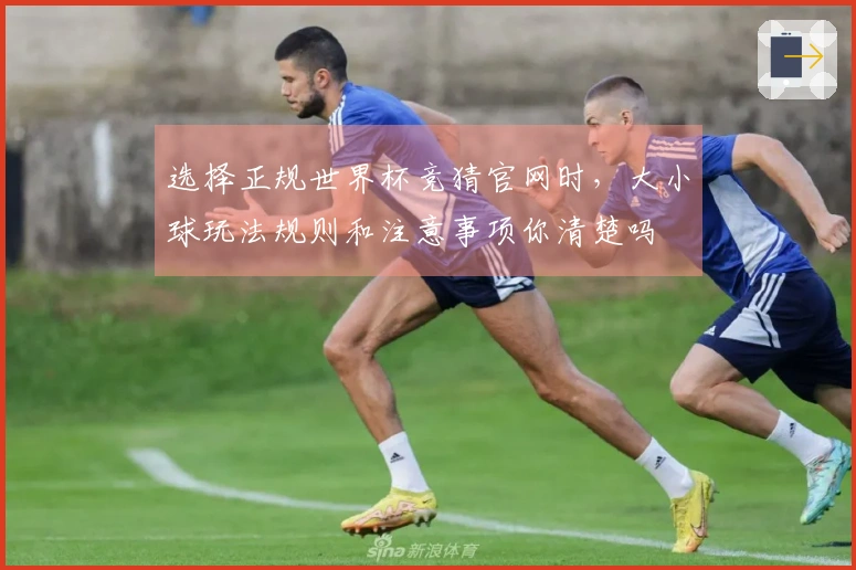 选择正规世界杯竞猜官网时，大小球玩法规则和注意事项你清楚吗