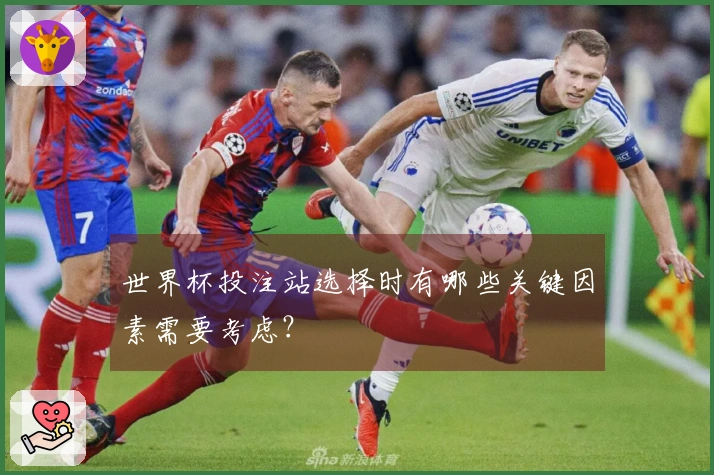 世界杯投注站选择时有哪些关键因素需要考虑？