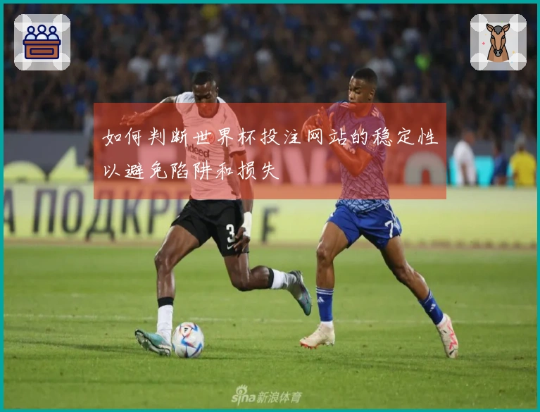 如何判断世界杯投注网站的稳定性以避免陷阱和损失