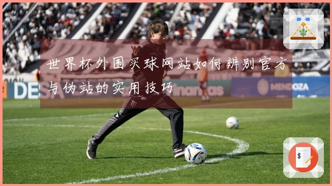 世界杯外围买球网站如何辨别官方与伪站的实用技巧