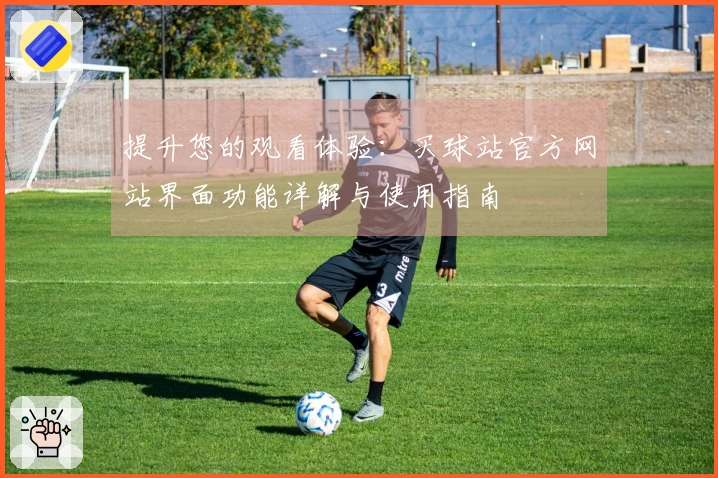 提升您的观看体验:买球站官方网站界面功能详解与使用指南