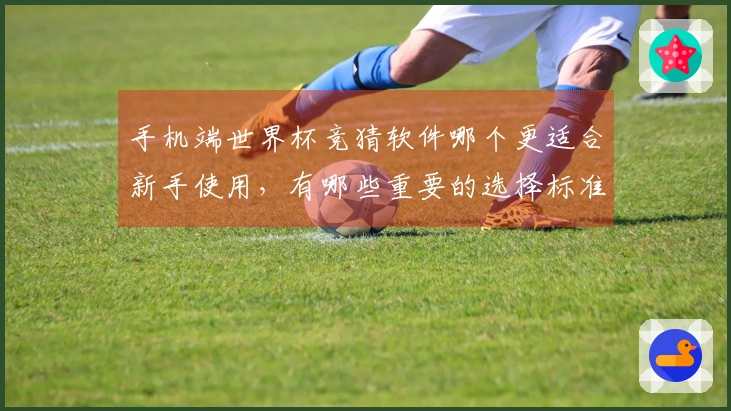 手机端世界杯竞猜软件哪个更适合新手使用，有哪些重要的选择标准？