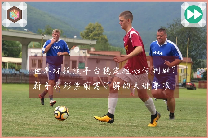 世界杯投注平台稳定性如何判断？新手买彩票前需了解的关键事项