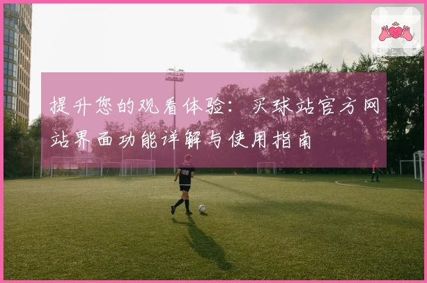 提升您的观看体验：买球站官方网站界面功能详解与使用指南