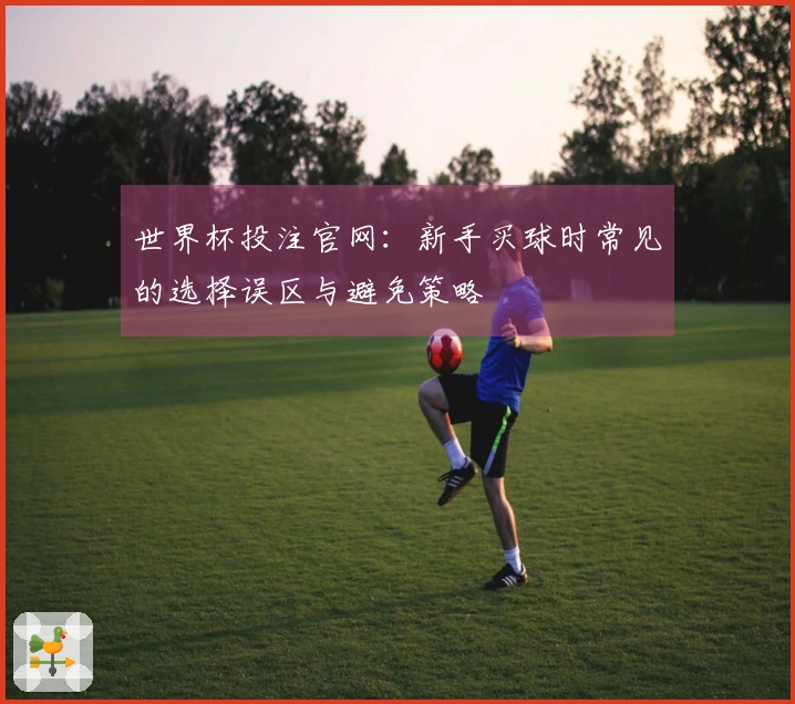 世界杯投注官网：新手买球时常见的选择误区与避免策略