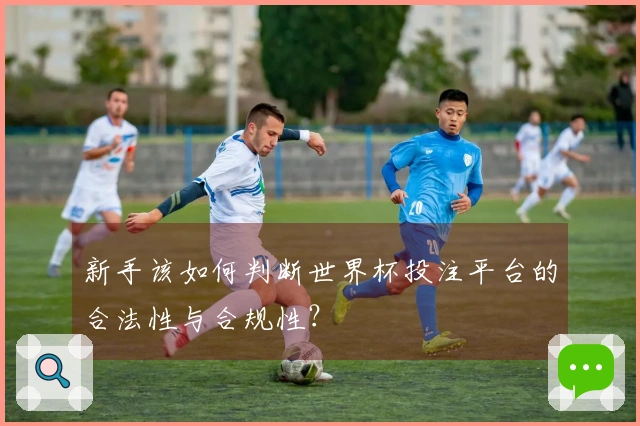 新手该如何判断世界杯投注平台的合法性与合规性？