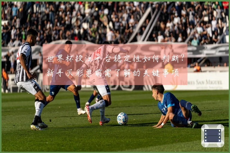 世界杯投注平台稳定性如何判断？新手买彩票前需了解的关键事项