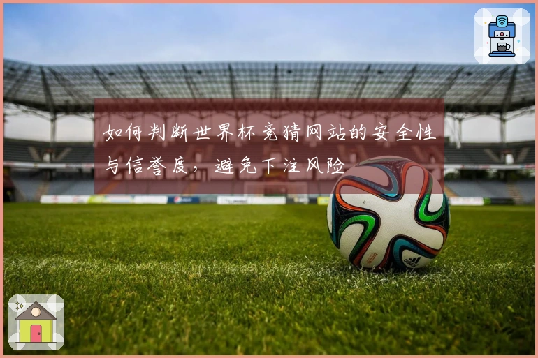 如何判断世界杯竞猜网站的安全性与信誉度，避免下注风险