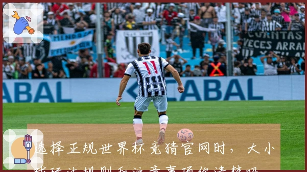 选择正规世界杯竞猜官网时，大小球玩法规则和注意事项你清楚吗