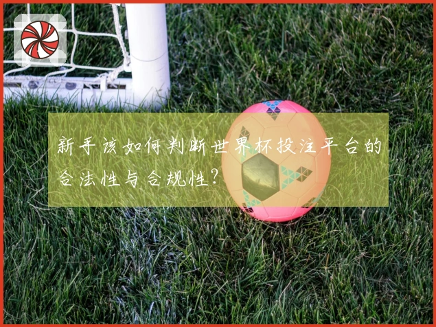 新手该如何判断世界杯投注平台的合法性与合规性?